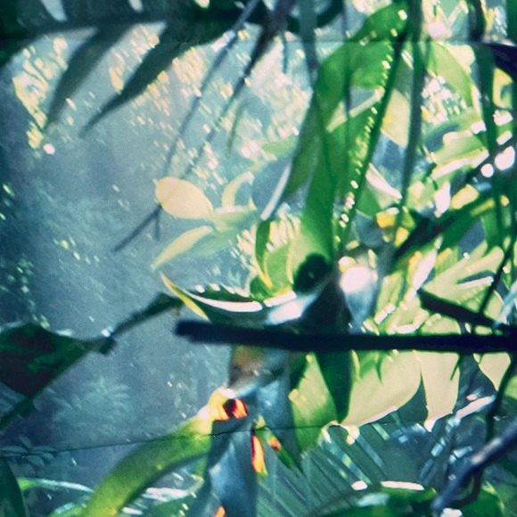 Vivid Moment Photo Backdrop - Picture 9 of 12